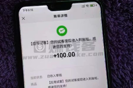 赚钱的app哪个靠谱赚钱还快(分享2024十大赚钱最快的app)-6
