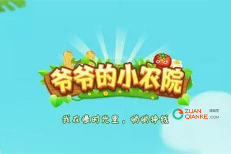 爷爷的小农院种菜真的能赚钱吗？