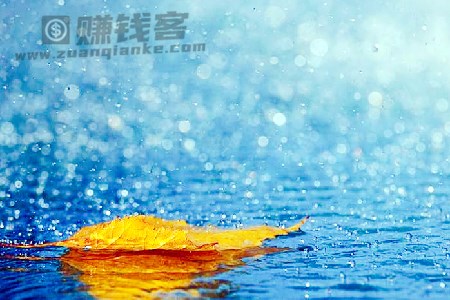 雨