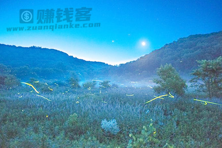 夏夜