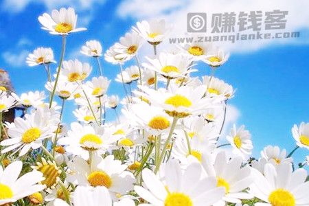 藏在心底的花