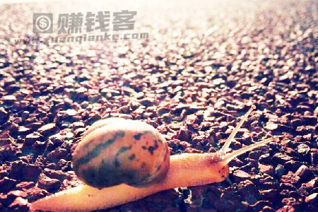 无浮无噪，轻松前行