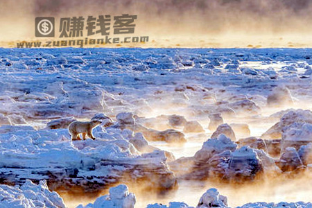 世有阴阳，调和至味