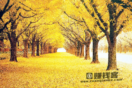悲秋